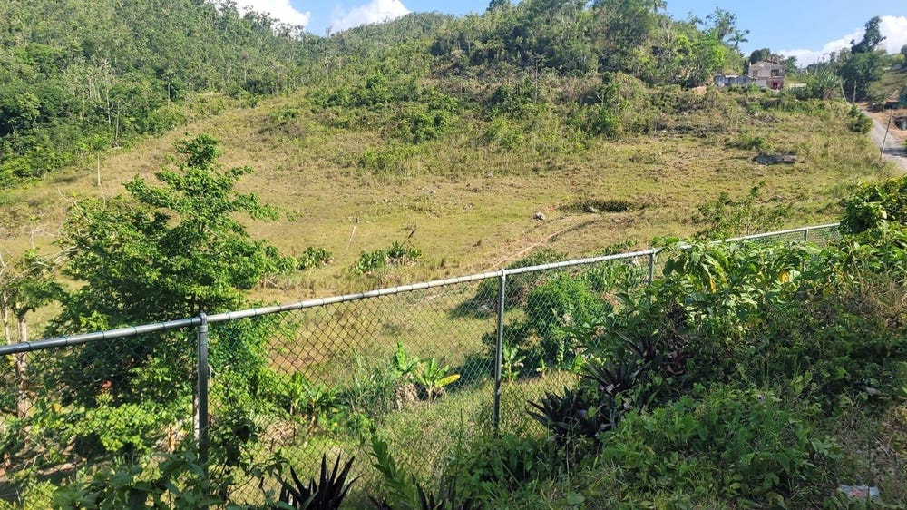 2 MAIN ST. CLAREMONT, ST. A, Claremont, St. Ann