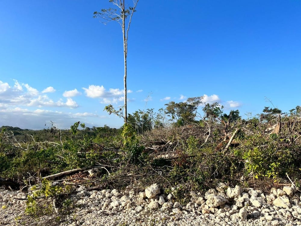 XFHV+MWV, Knockpatrick, Jamaica, Knockpatrick, Manchester Parish