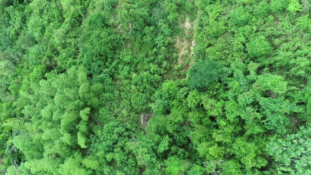 PEGASUS PLACE, SMOKEY VAL