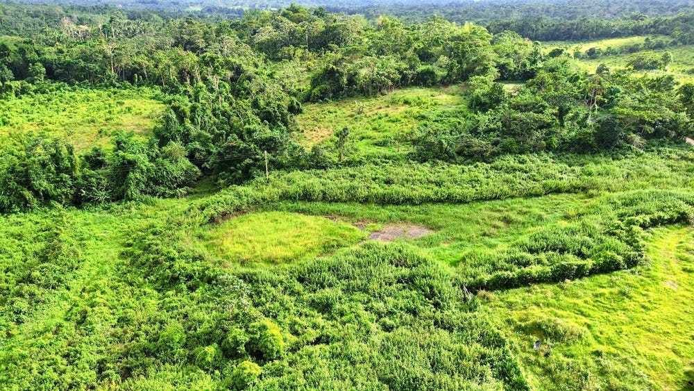 BURNT GROUND, HANOVER