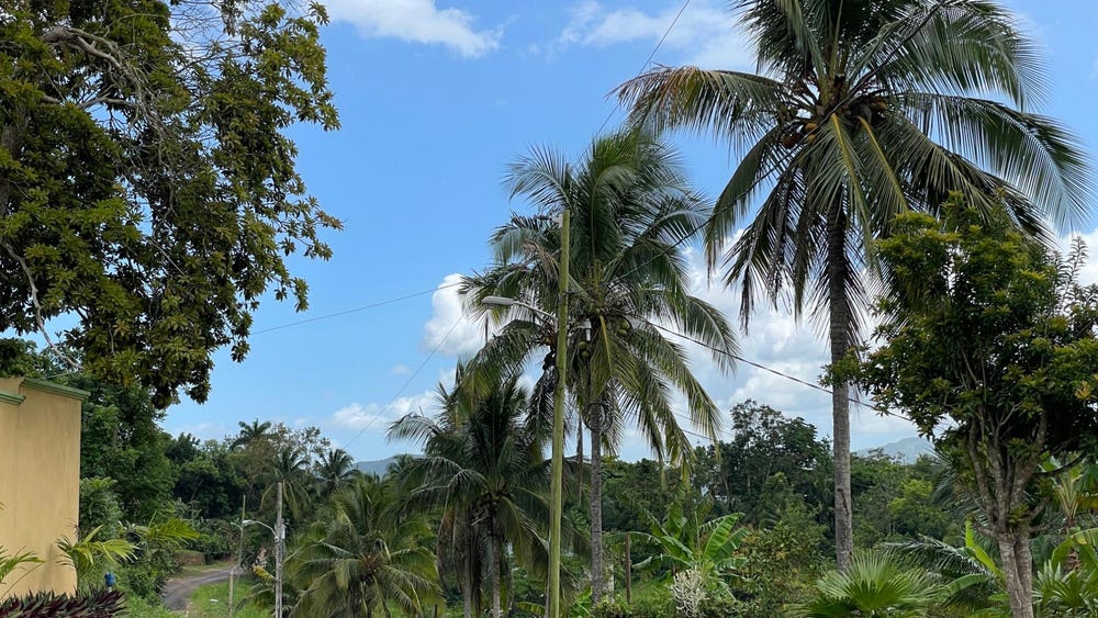 LOT 6 BYNLOSS LINSTEAD, Linstead, St. Catherine