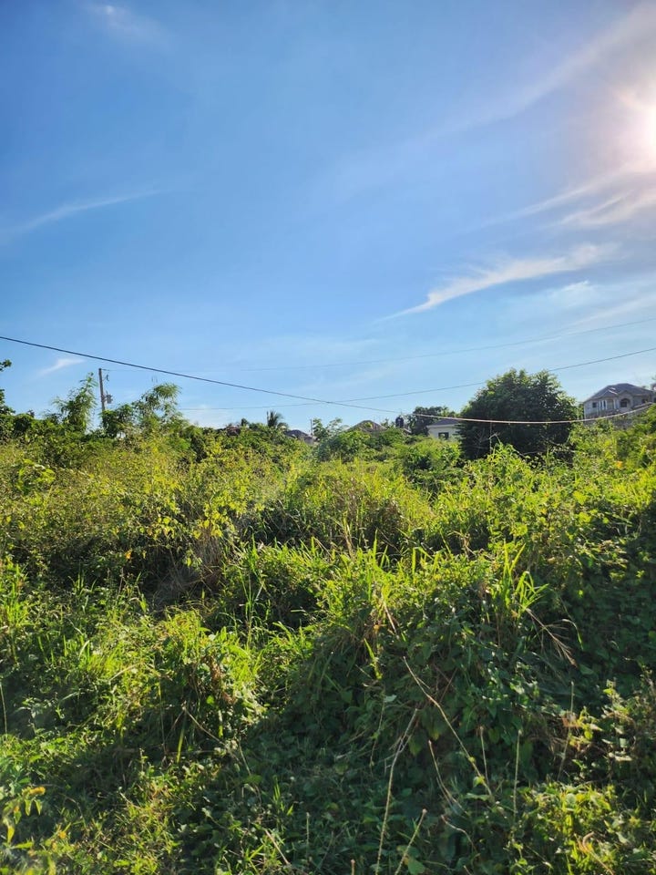 Castle Ky, Chateau, Clarendon