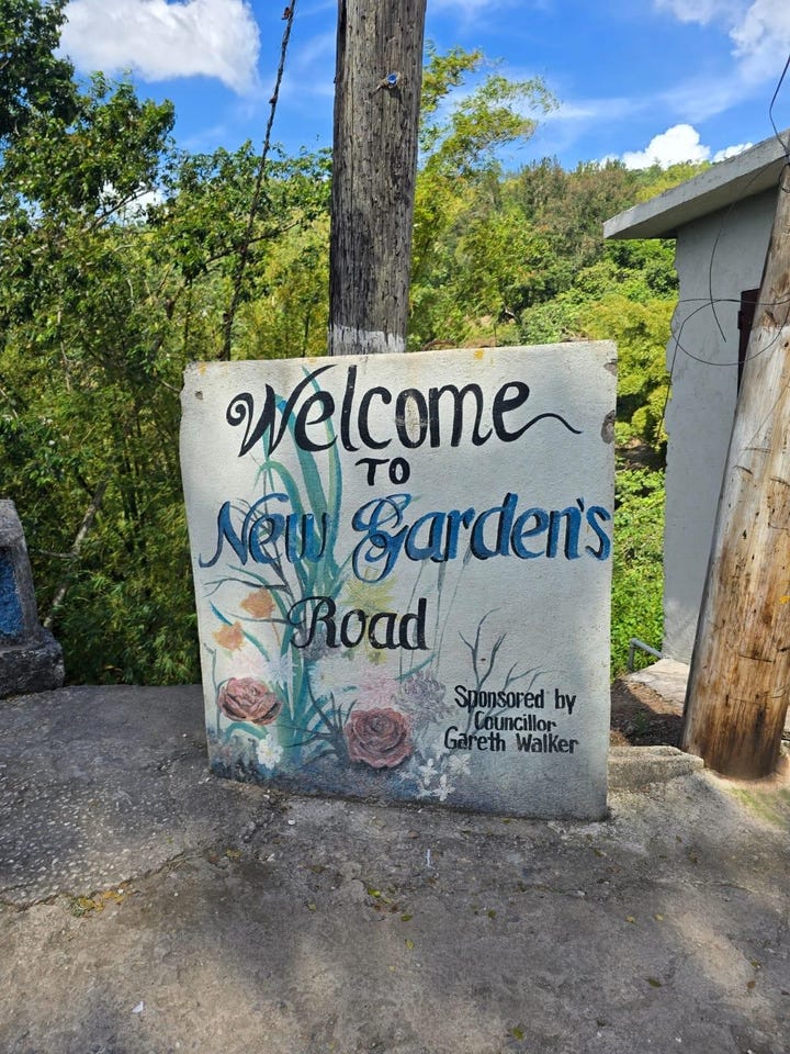 BLUE MOUNTAIN, NEW GARDENS, Stony Hill P.O., St. Andrew