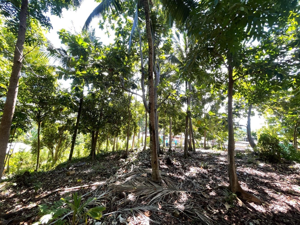 BOUNDBROOK PORT ANTONIO