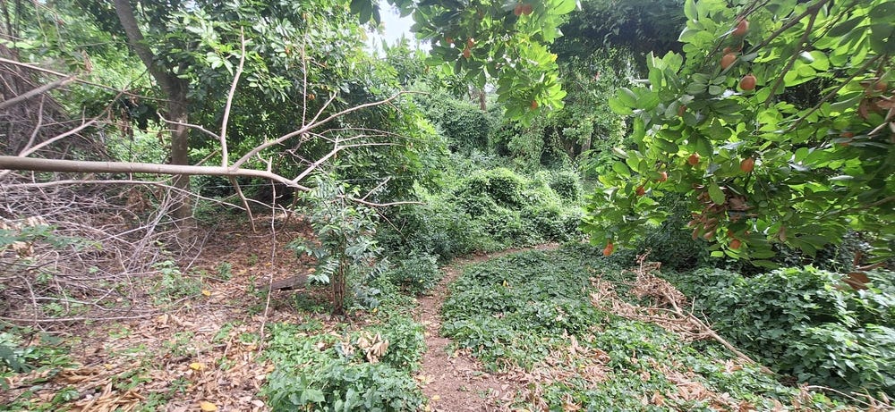 ELEVEN MILES, BULL BAY