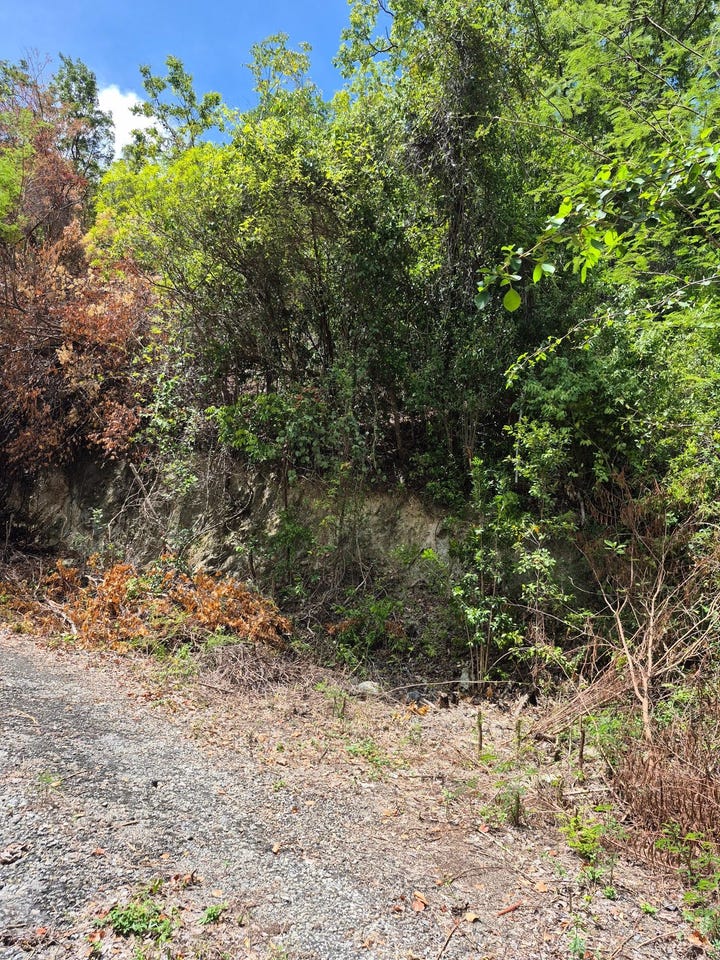 ALBION HEIGHT BOULEVARD