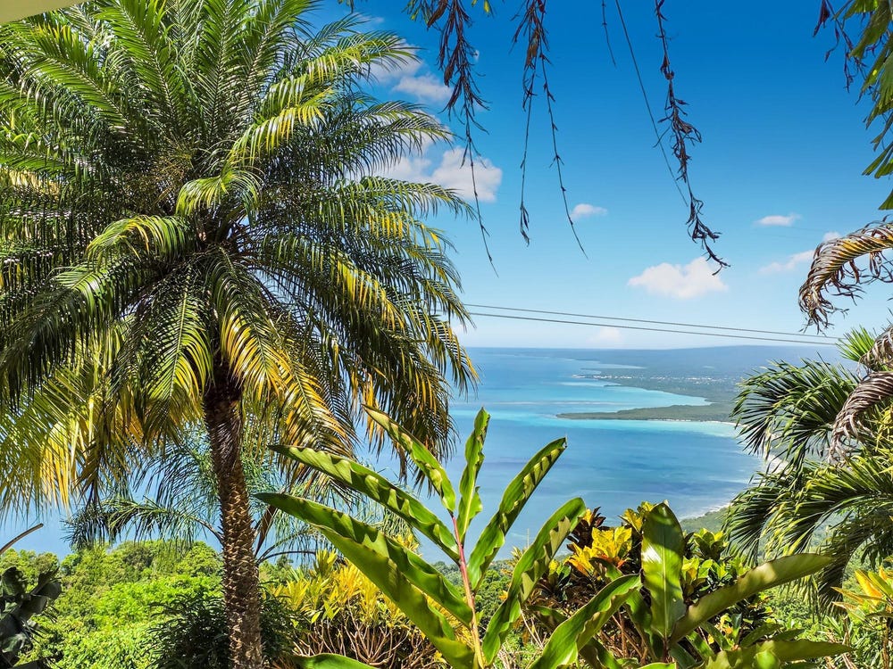 10 MOUNT RECKETTS, Cave Mountain, Westmoreland Parish