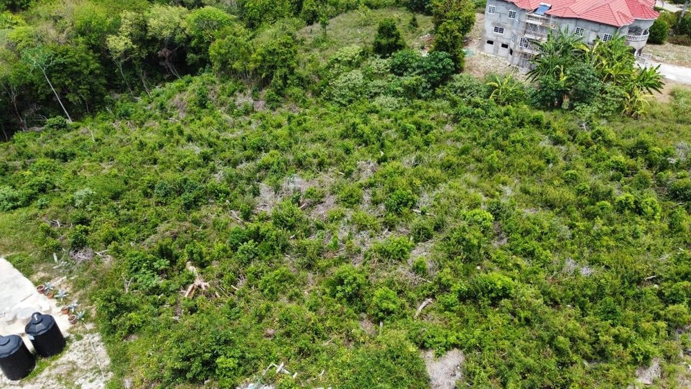 HIGHLANDS, SPRING FARM, S