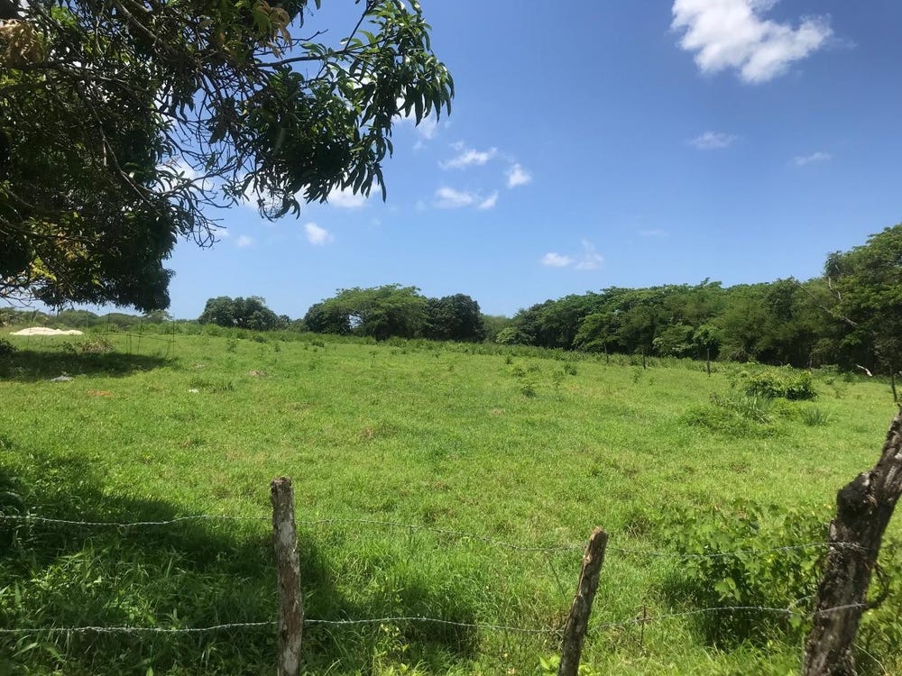 Reynolds Road, Middle Quarters, St. Elizabeth Parish