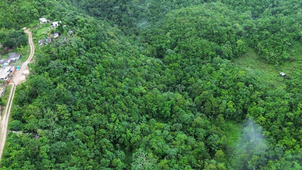 MOUNT ZION, Red Hills, St. Andrew
