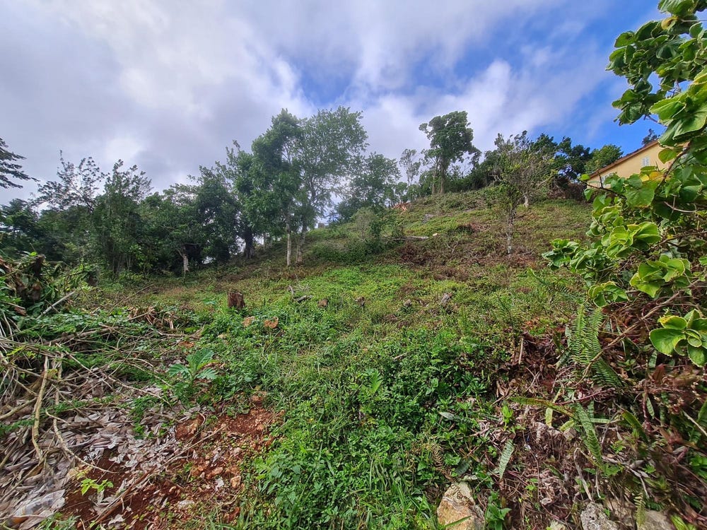 LAND PART OF GREEN HILL, Alexandria, St. Ann