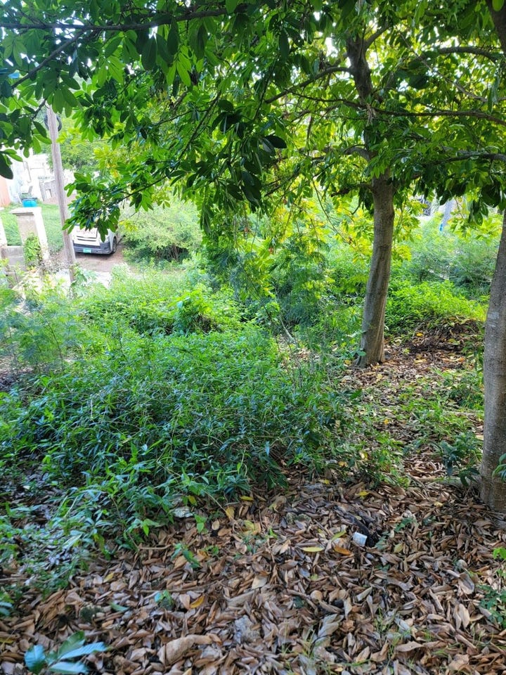 70 Everest Dr, Old Harbour, Jamaica, Old Harbour, St. Catherine Parish