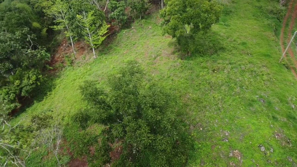 VIRGINIA LAND SETTLEMENT