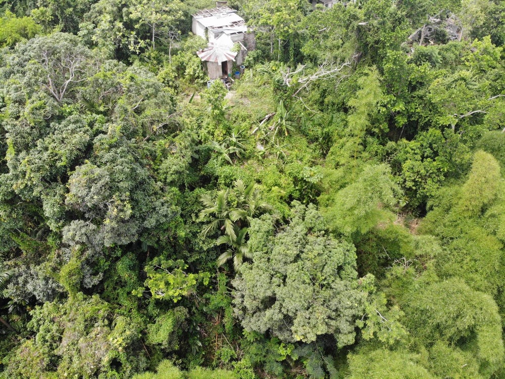 MOUNT SALUS ROAD, Red Hills, St. Andrew