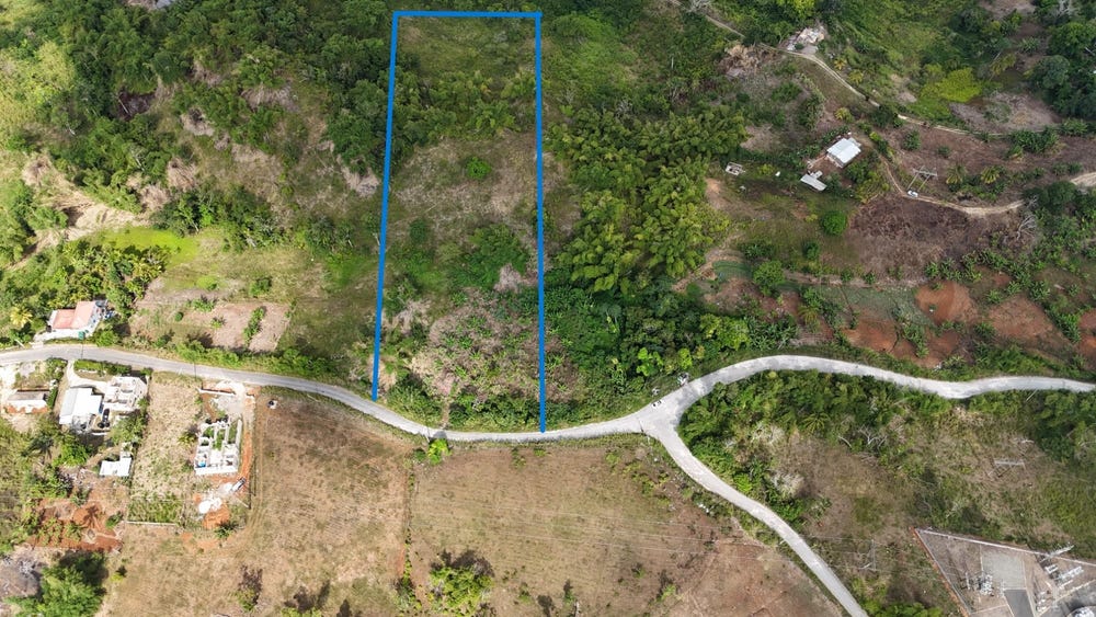 PART OF BLACKSTONEDGE, Moneague, St. Ann