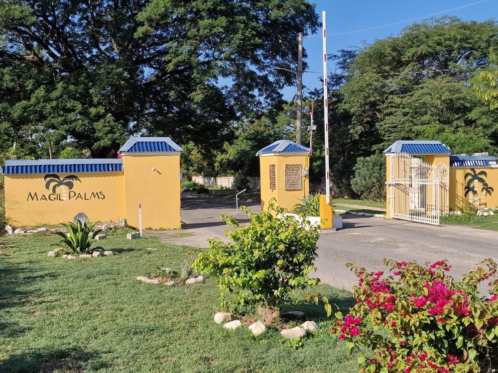 MAGIL PALMS