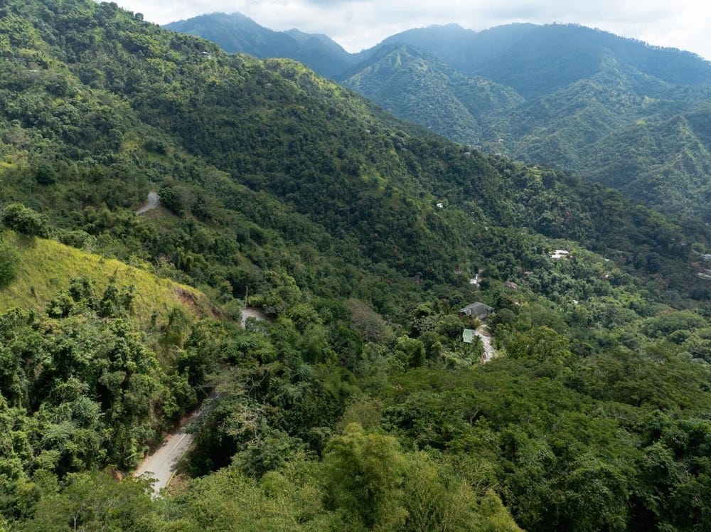 PART OF ELLERSLIE, RESOUR, Gordon Town P.O., St. Andrew