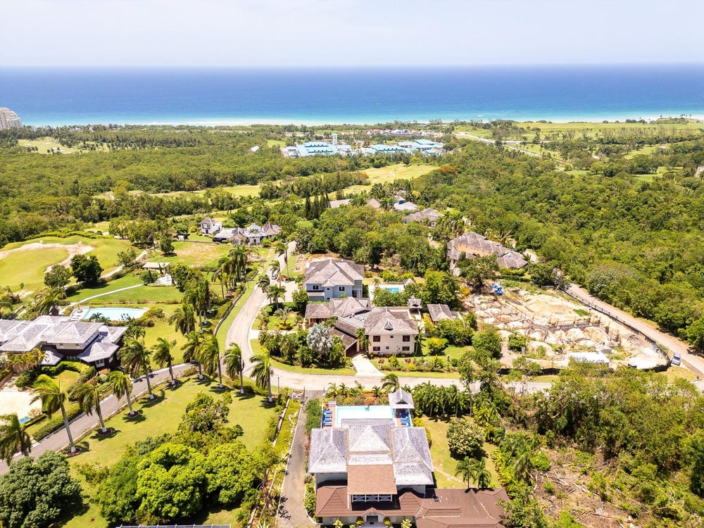 PARADISE PLUM, ROSE HALL