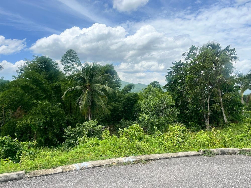 Sligoville Road, Shenton, St. Catherine Parish