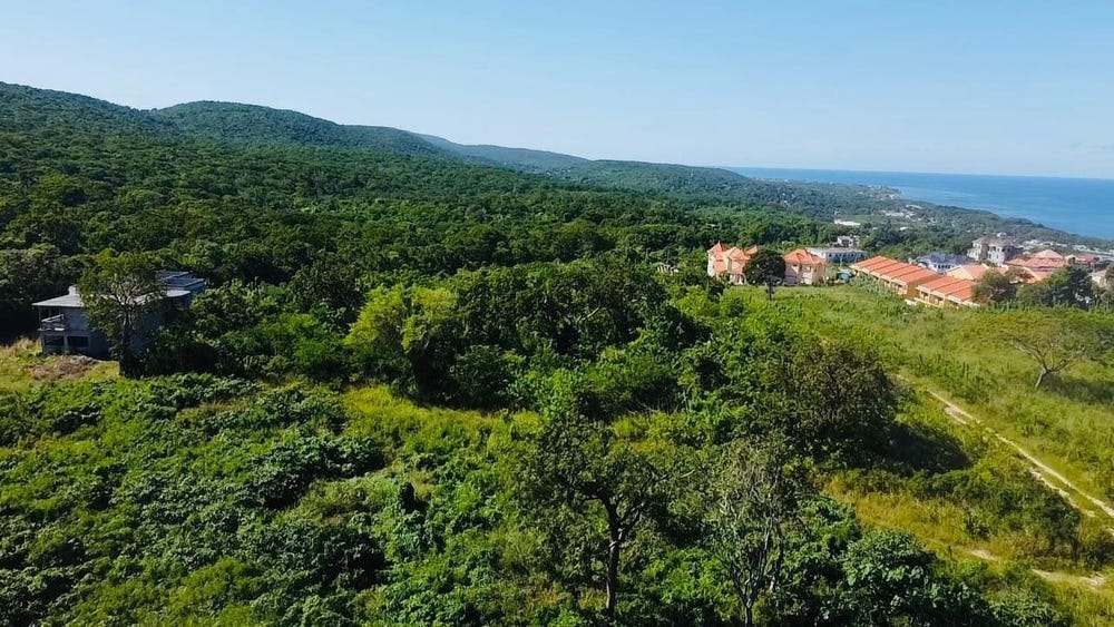 OCEAN VIEW. GREENSIDE