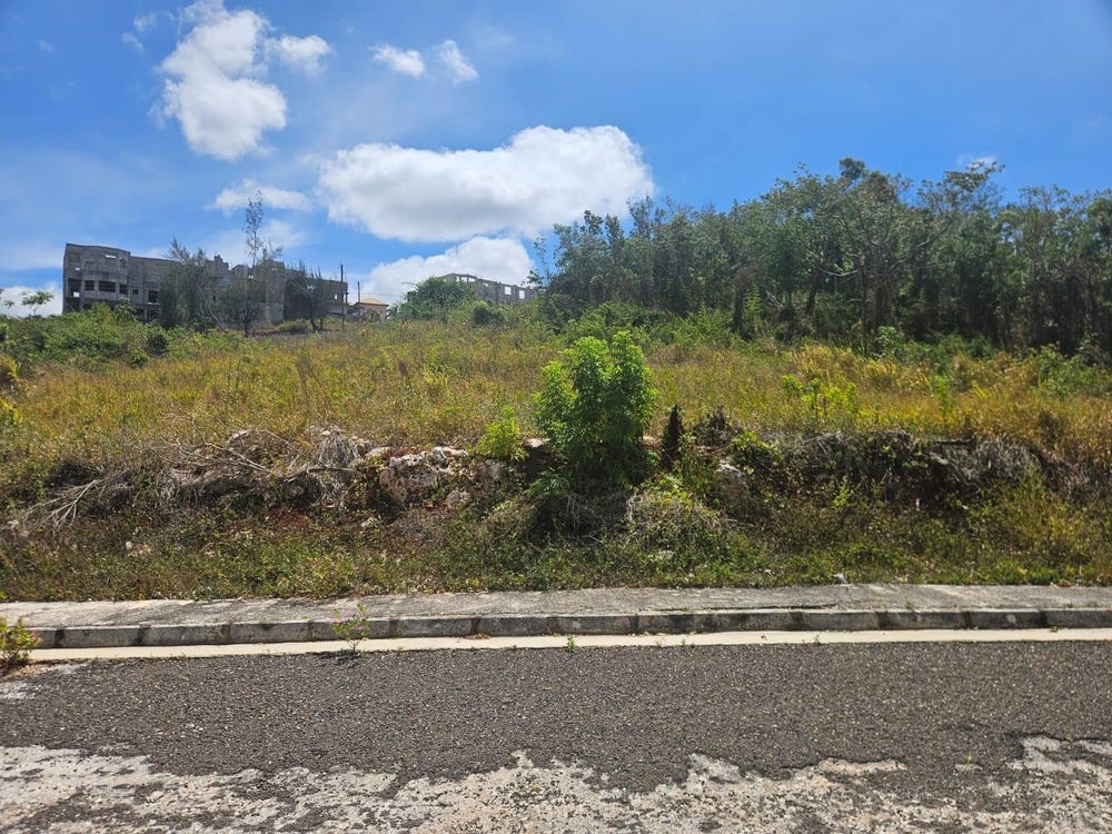 POTSDAM lot: 13, Malvern, St. Elizabeth