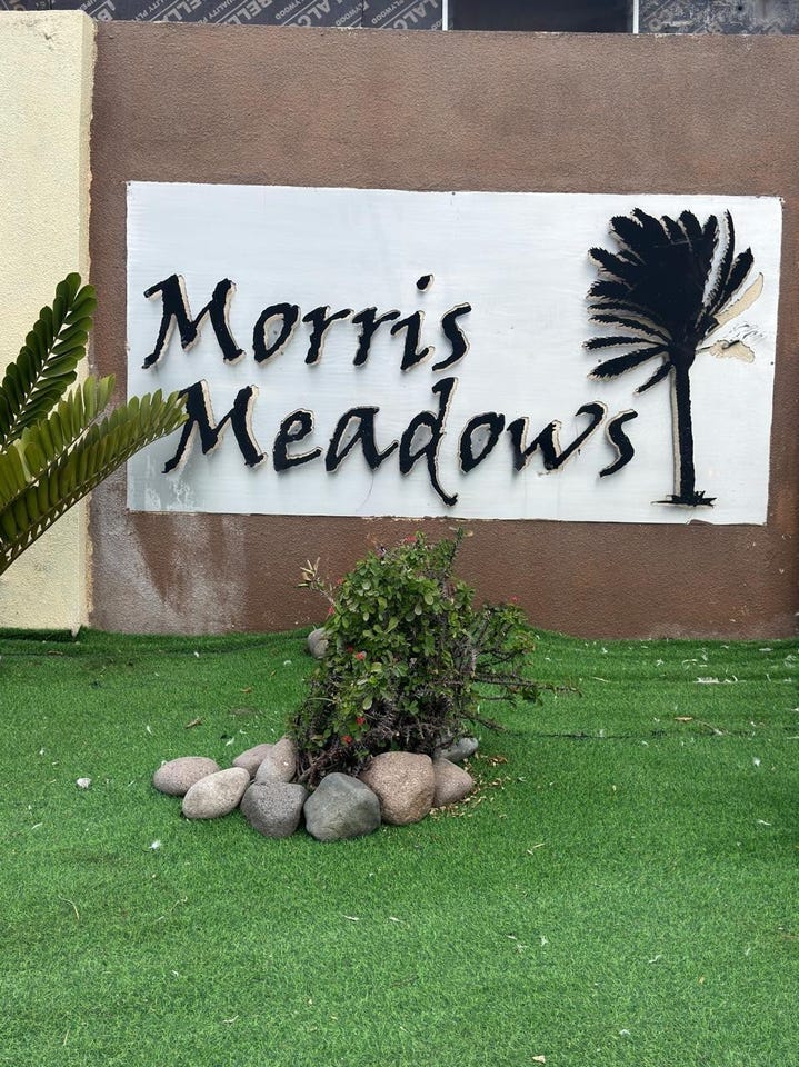 MORRIS MEADOWS