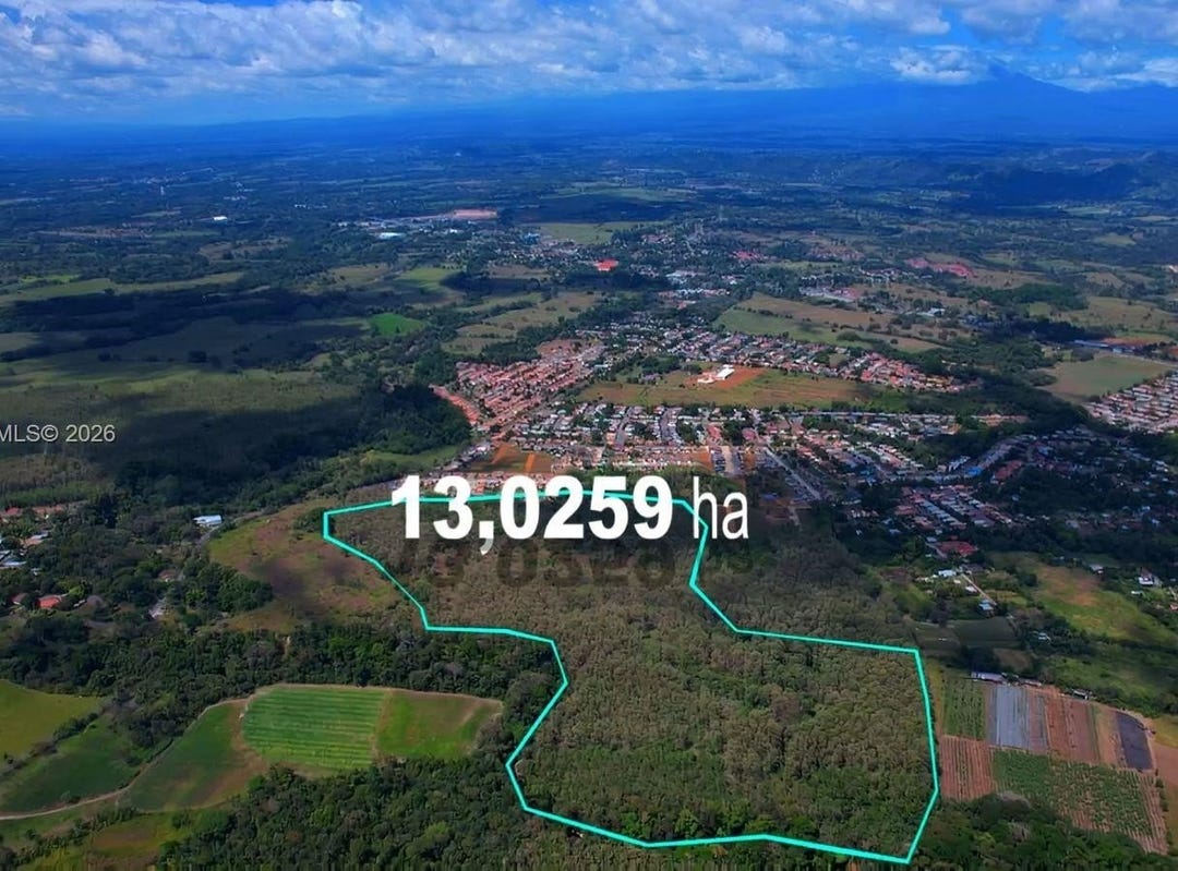 Mature Teak Plantation San Pablo Viejo, Chiriqui, Panama Other for Sale ...