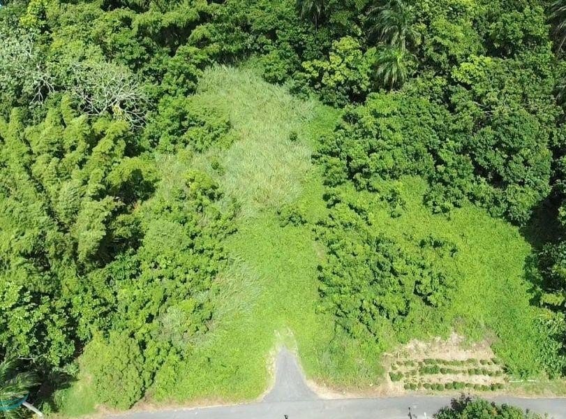 0 CALLE RUBI, Cuchillas, Moca, Moca 00676 Land for Sale