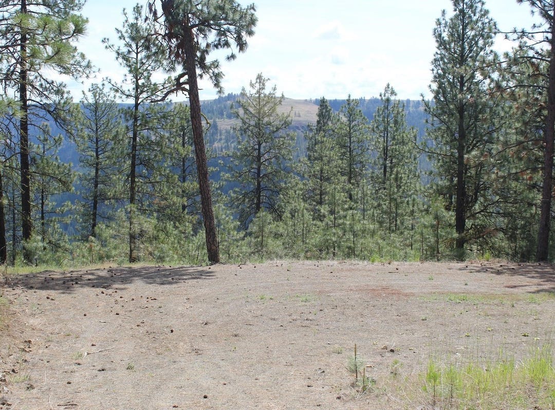 Badger 4 Sontag Ridge Ln, Davenport, WA 99122 Land for Sale