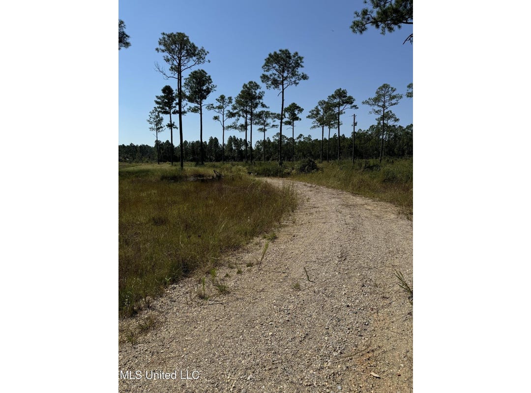 0 Dantzler Road, Vancleave, MS 39565 Land for Sale