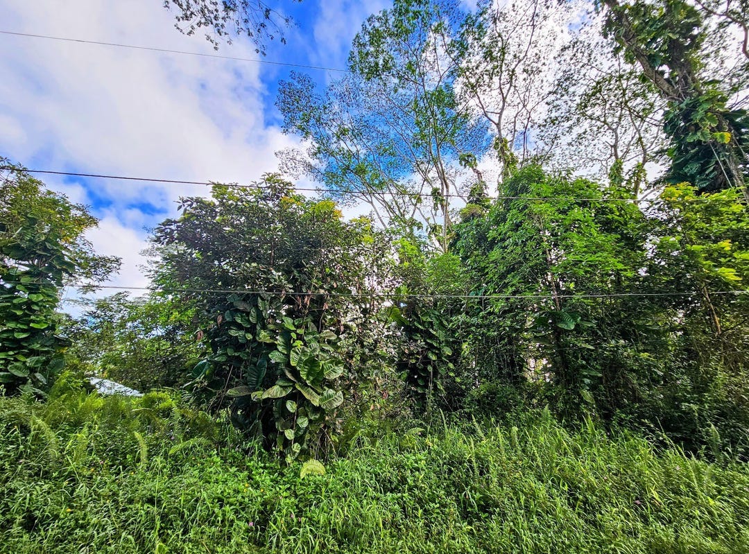 HAWAII RD, Apt Lot 226, PAHOA, HI 96778 Land for Sale realestate