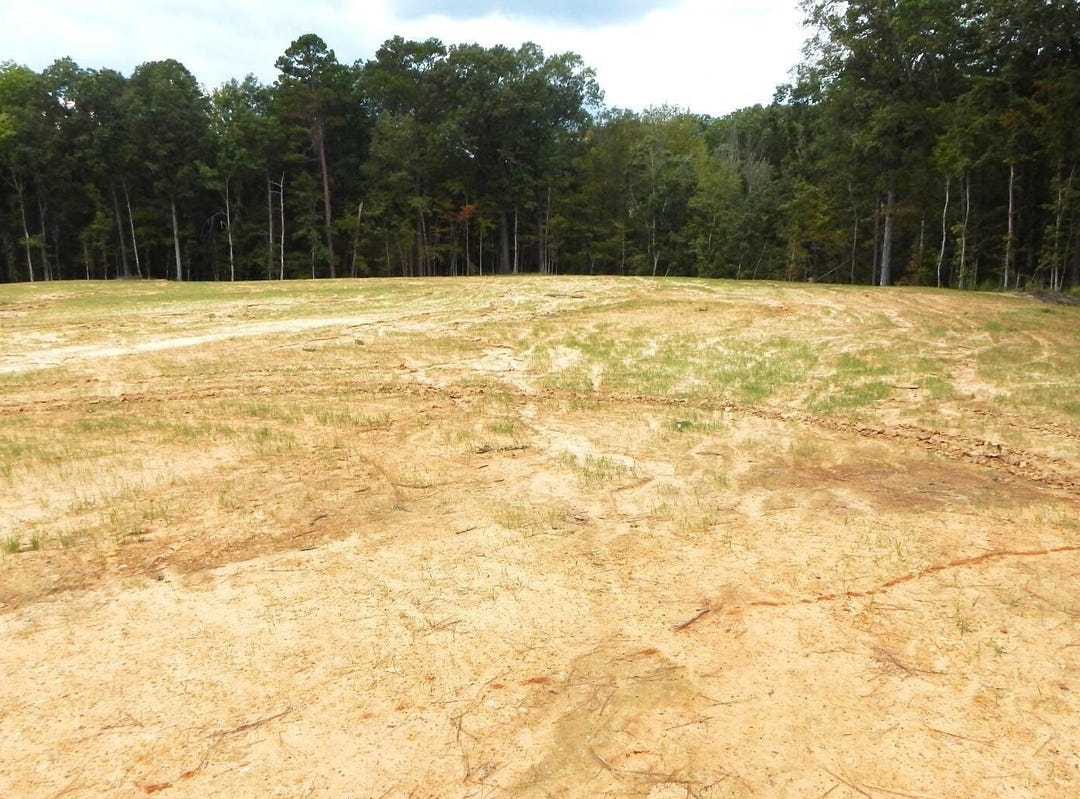 204 Hugh White State Park Road, Grenada, MS 38901 Land for Sale