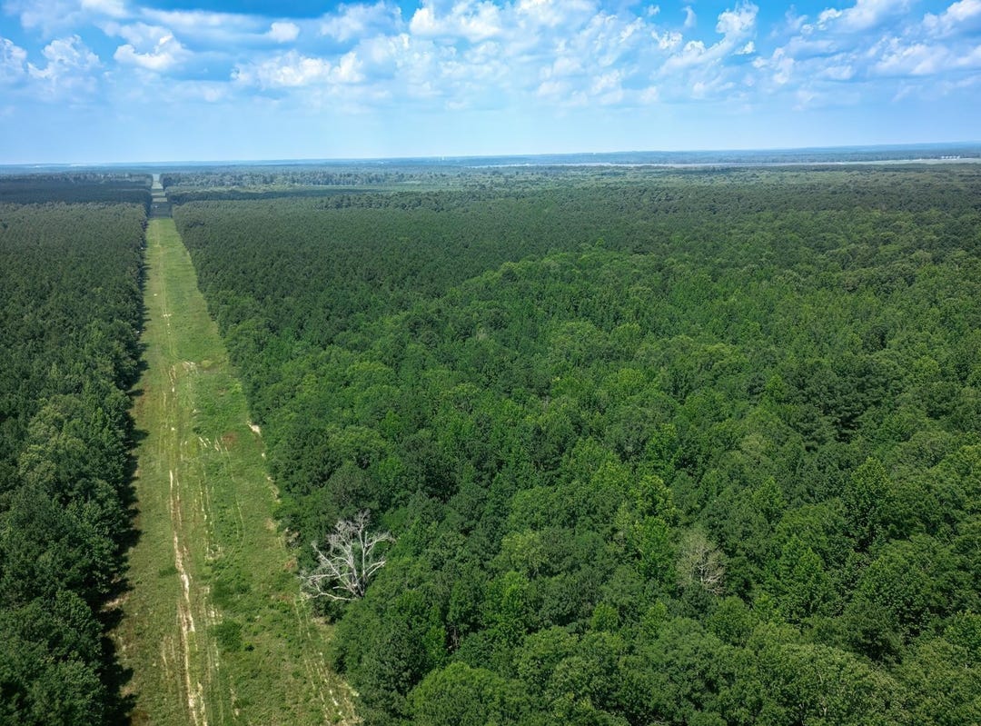 0000 TBD, Arkadelphia, AR 71923 Land for Sale