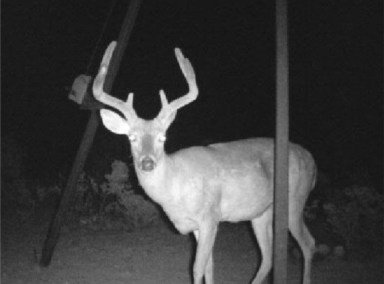 000 LAR East Lot 1 & 2, Del Rio, TX 78840 Land for Sale