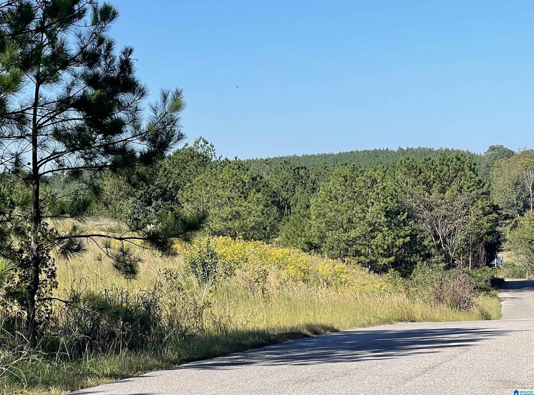 0 DIESEL DRIVE, Apt 0, MCCALLA, AL 35111 Land for Sale