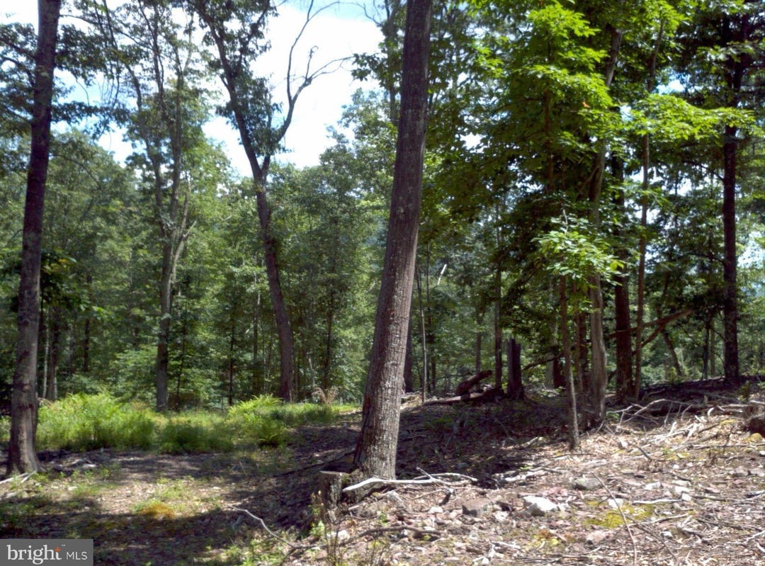 0 AVERNUS WAY, FRANKLIN, WV 26807 Land for Sale