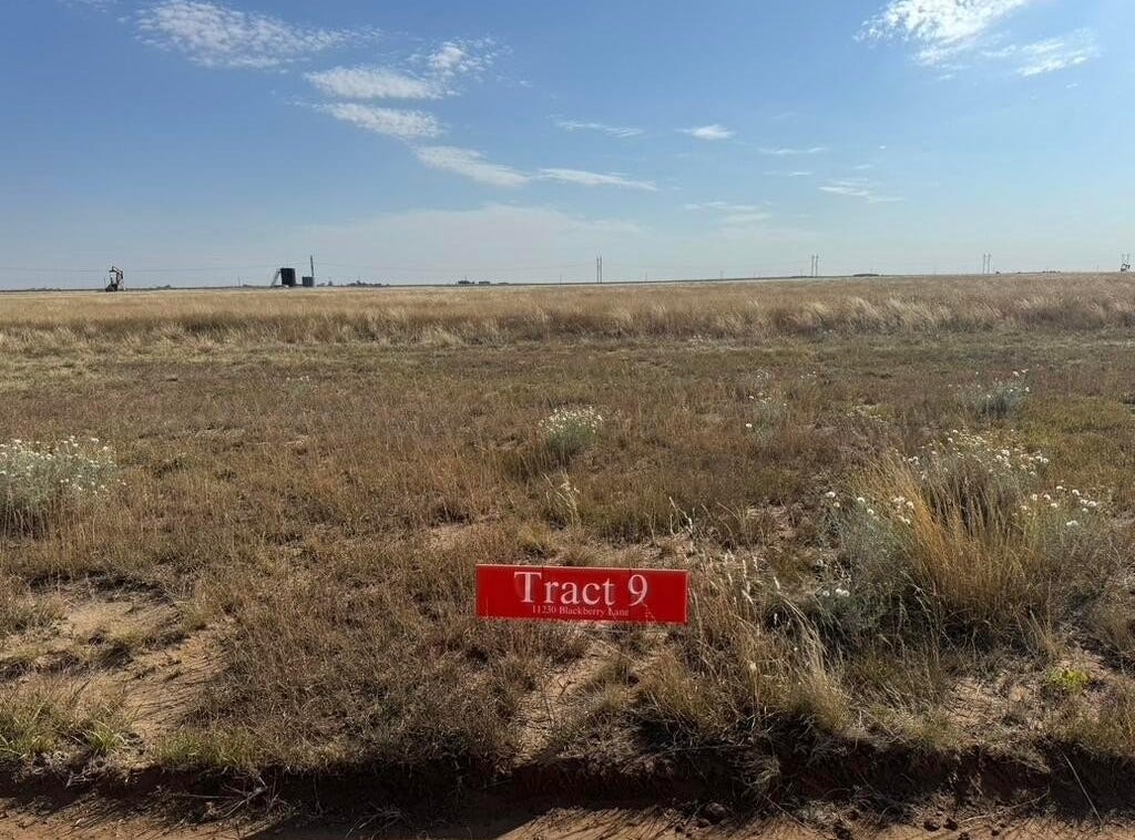 11230 Blackberry Lane, Hartley, TX 79044 Other for Sale