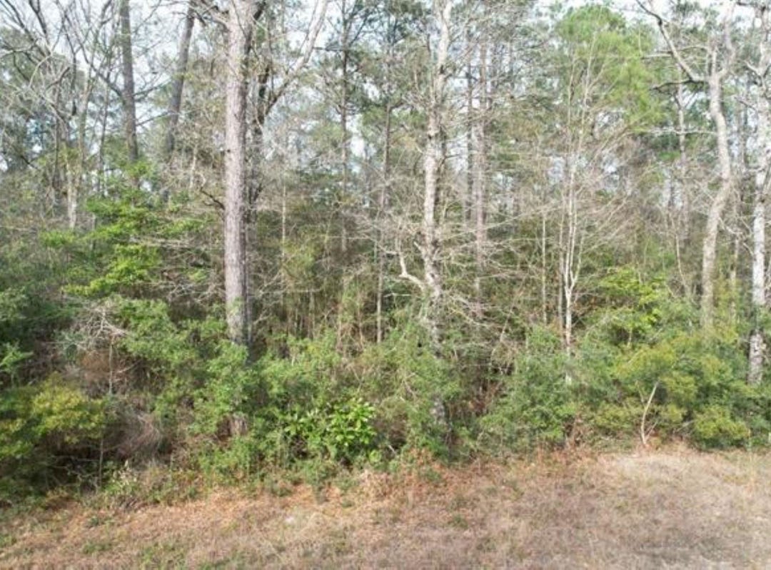 A16 TR 125 CR 4061, Bon Wier, TX 75928 Land for Sale