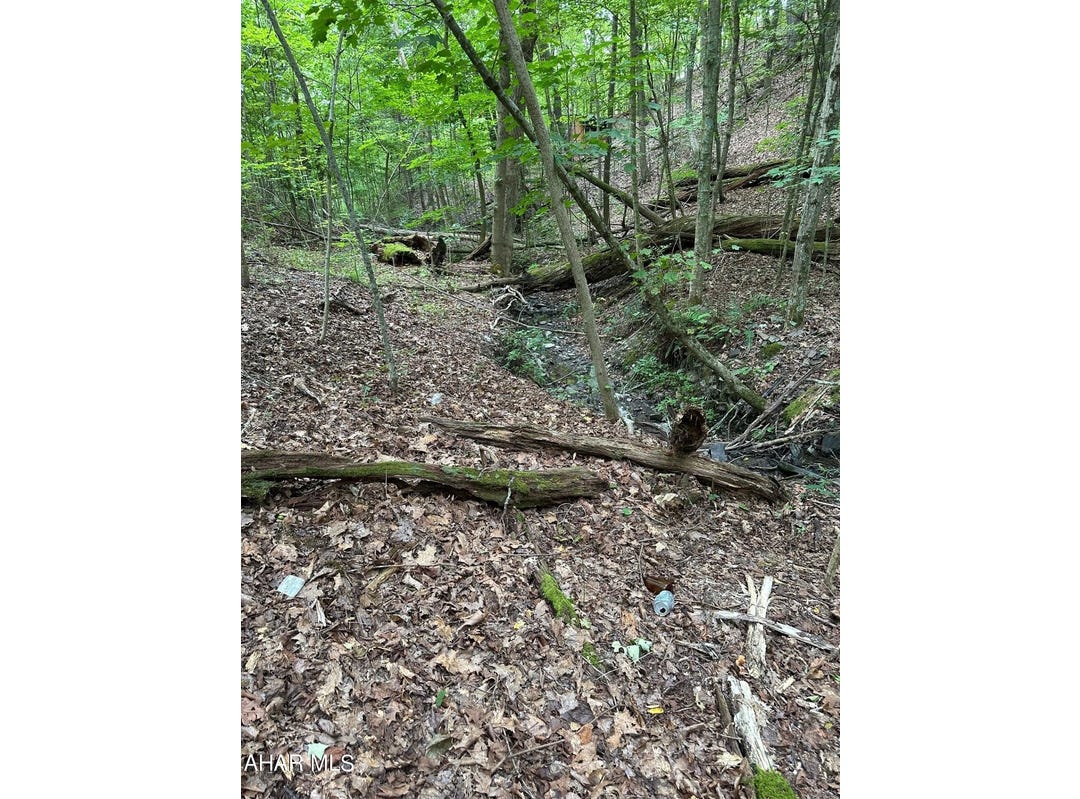 Off Reynoldsdale Road, New Paris, PA 15554 Land for Sale realestate