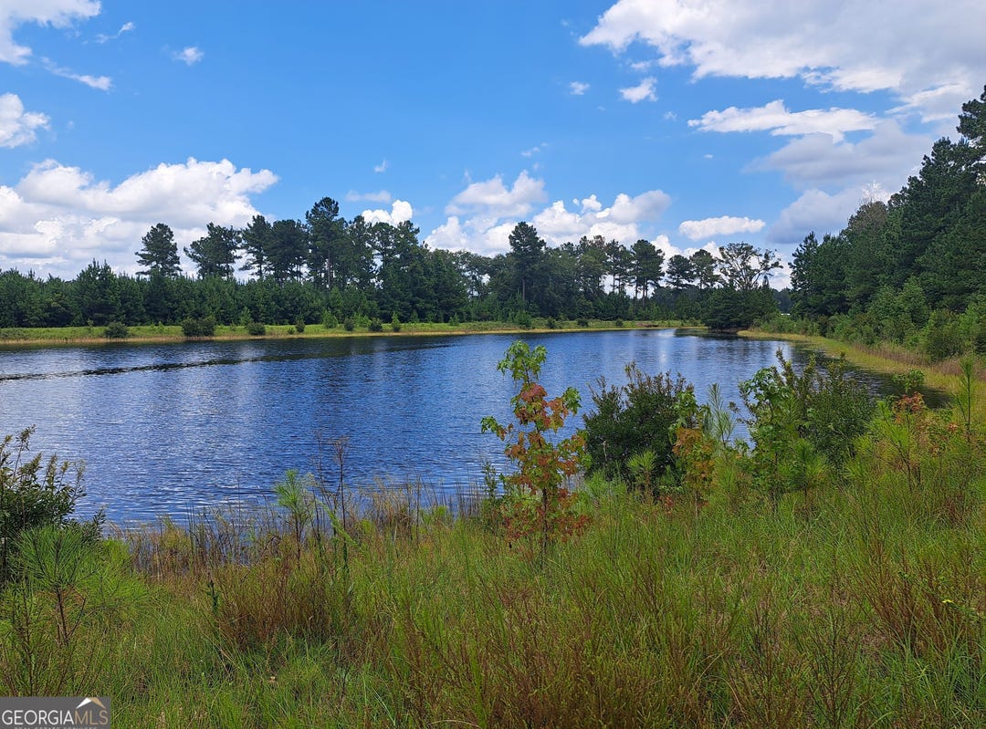 0 Shoreline, Kingsland, GA 31548 Land for Sale