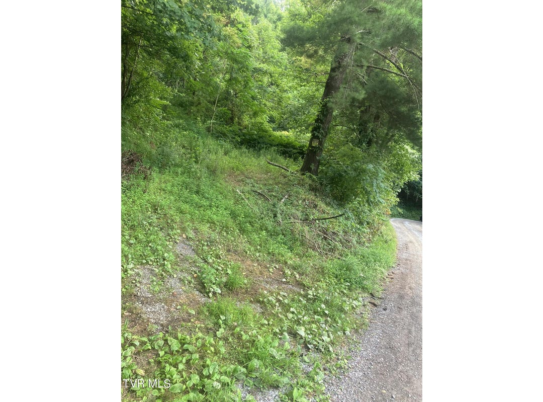 1442 Lovelady Gap Road, Dryden, VA 24243 Land for Sale