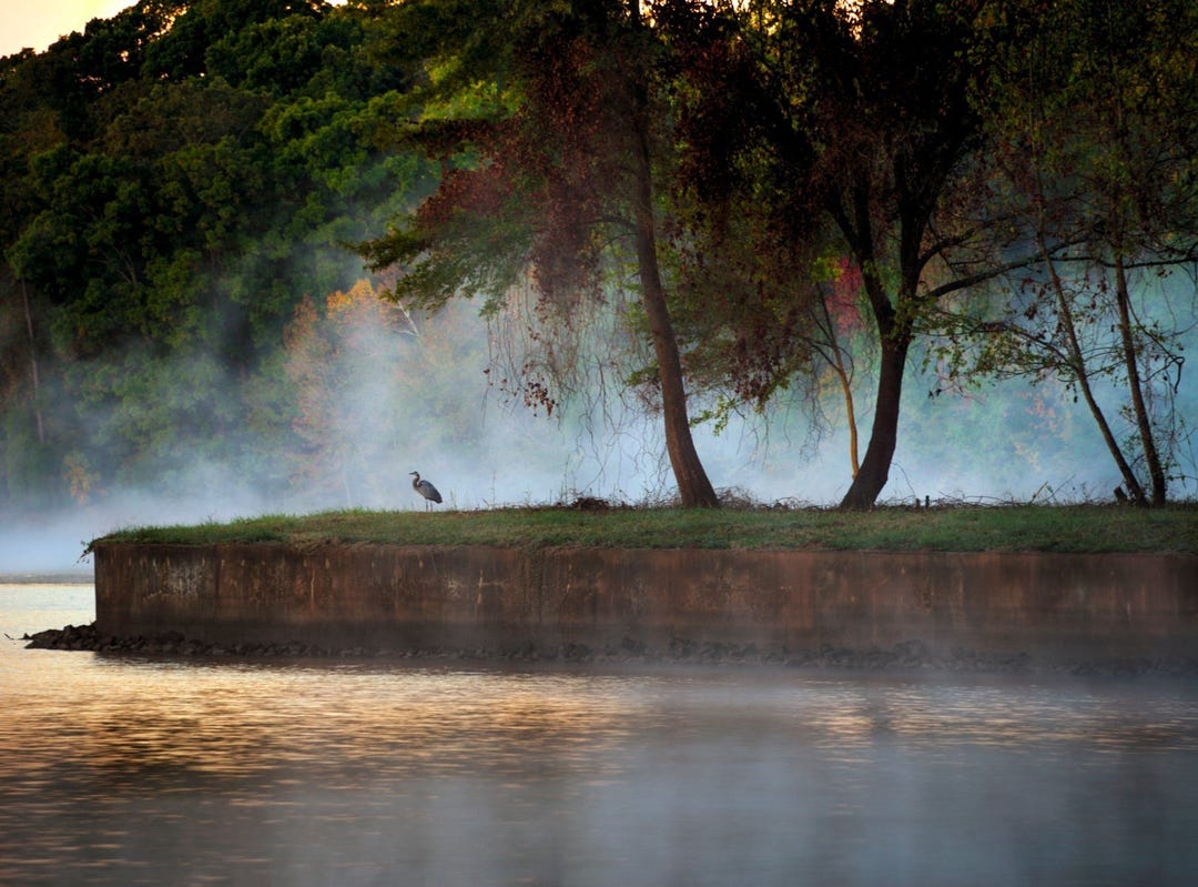 Sales Office at Arden Mill 2026 Thatcher Way, Apt Plan Coronado