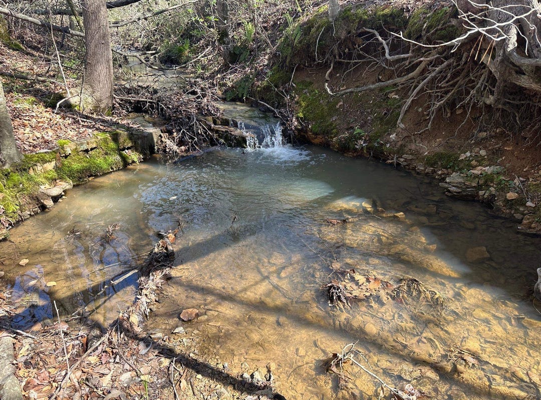 0 BRUTON BRANCH, Savannah, TN 38372 Land for Sale