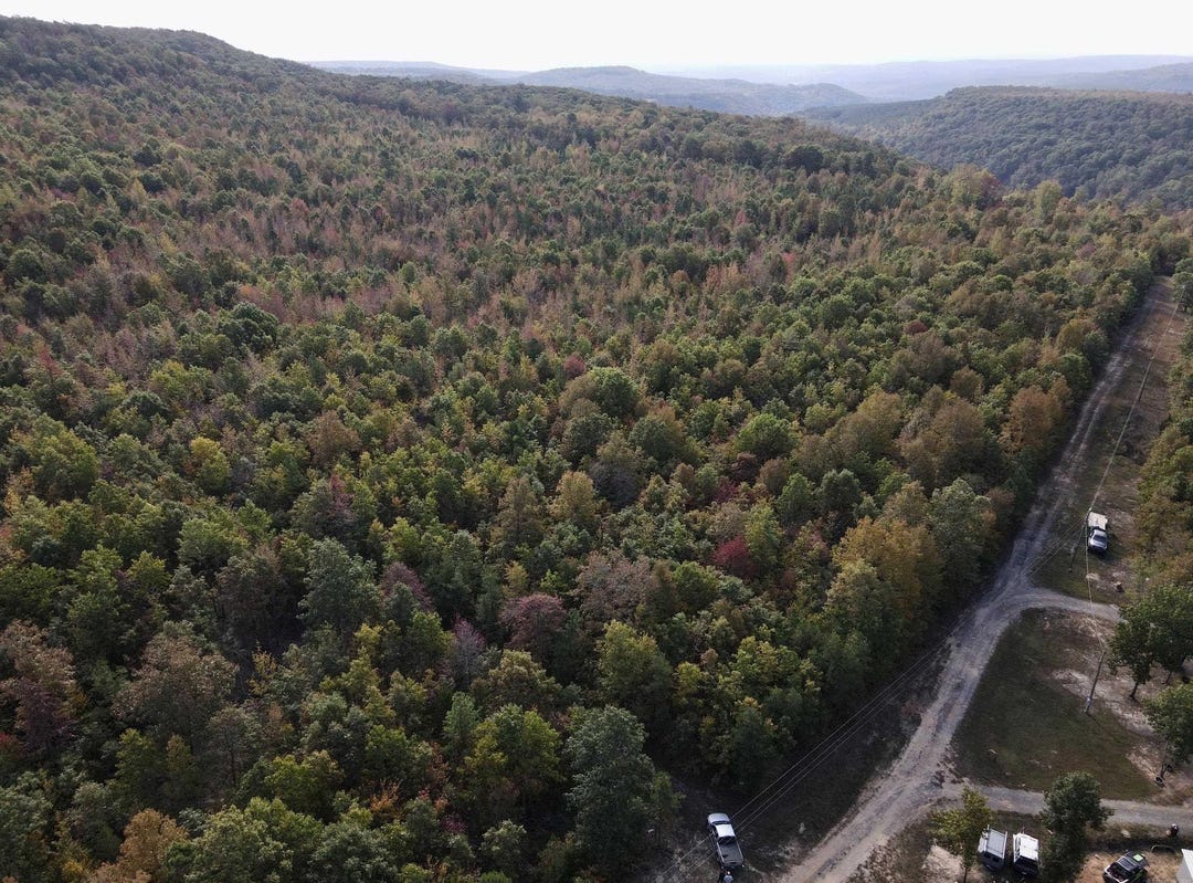 Clinton, AR 72031, Address available on request Land for Sale