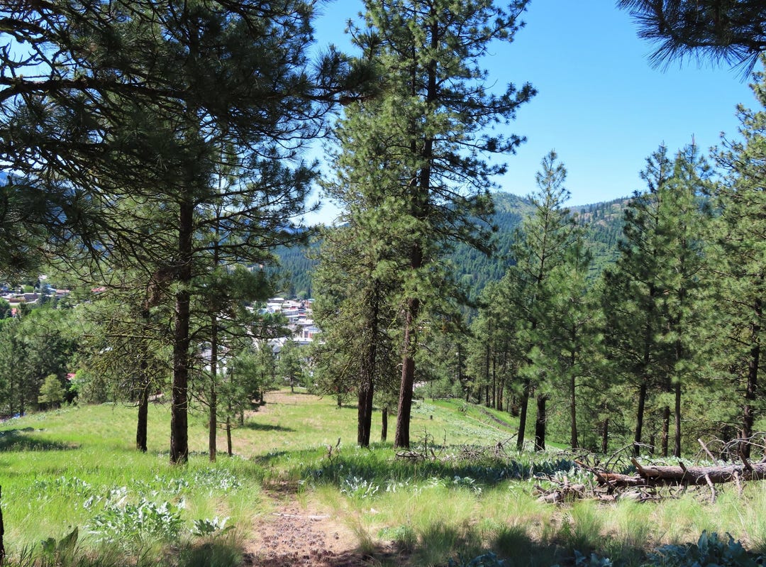 TBD KELLER ST, REPUBLIC, WA 99166 Land for Sale