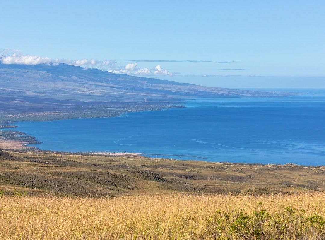 Apt Lot 95, KAMUELA, HI 96743 Land for Sale