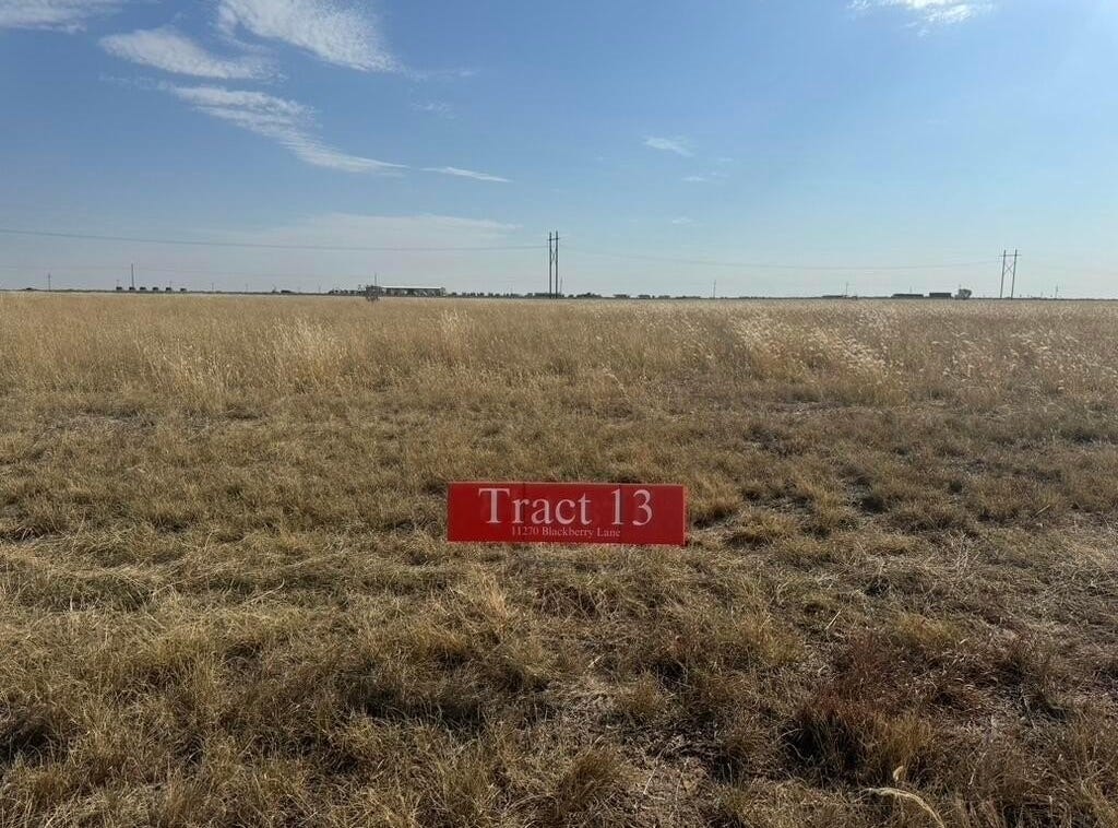 11270 Blackberry Lane, Hartley, TX 79044 Other for Sale