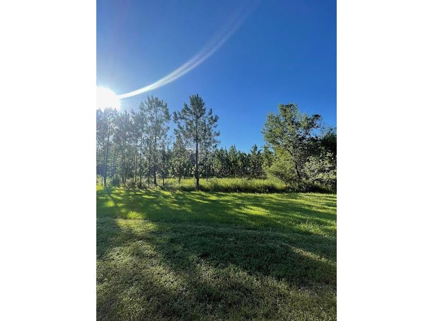 00 Lot 3 BBL Estates, Poplarville, MS 39470 Land for Sale realestate