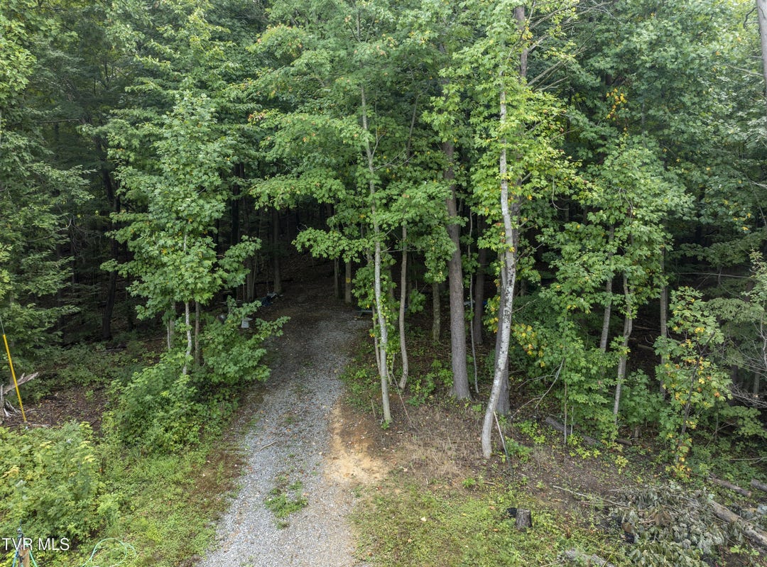 143 Cedar Street, Johnson City, TN 37601 Land for Sale