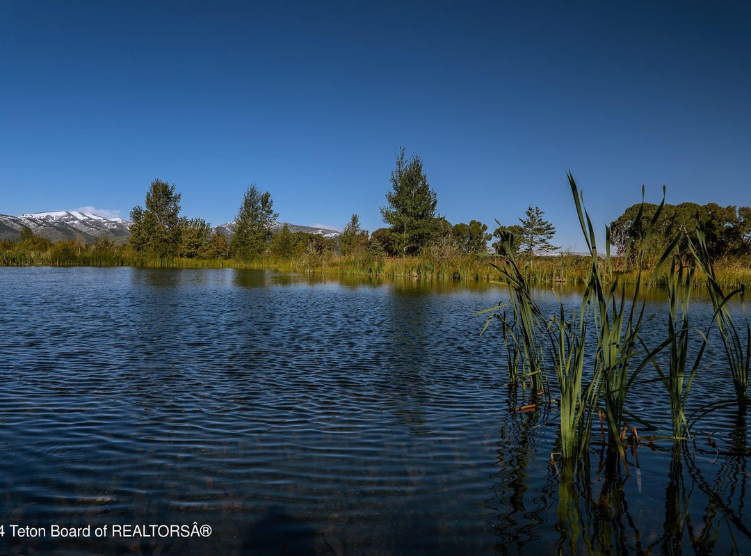 6688 L30 FOX MEADOWS Drive, Victor, ID 83455 Other for Sale